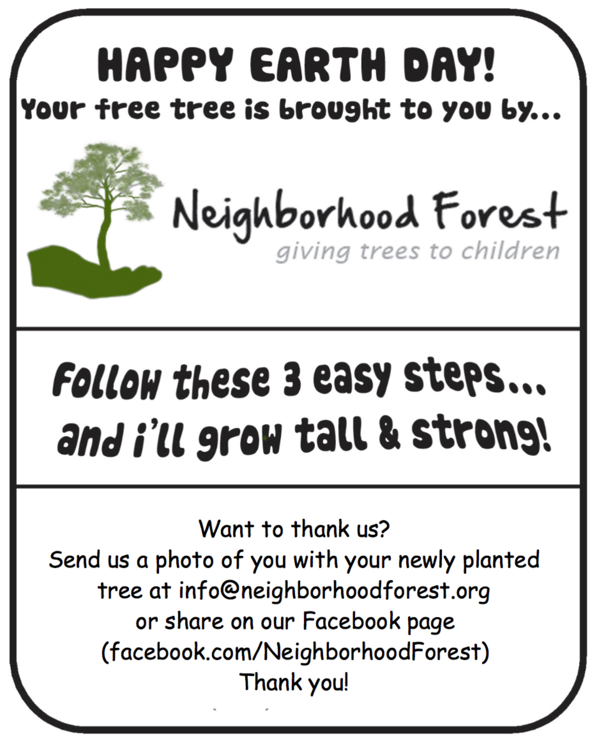 Tree Planting Instructions Neighborhood Forest