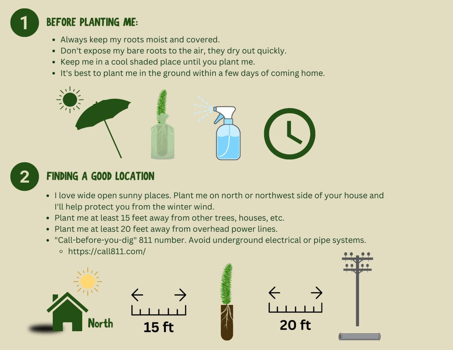 Tree Planting Instructions Neighborhood Forest