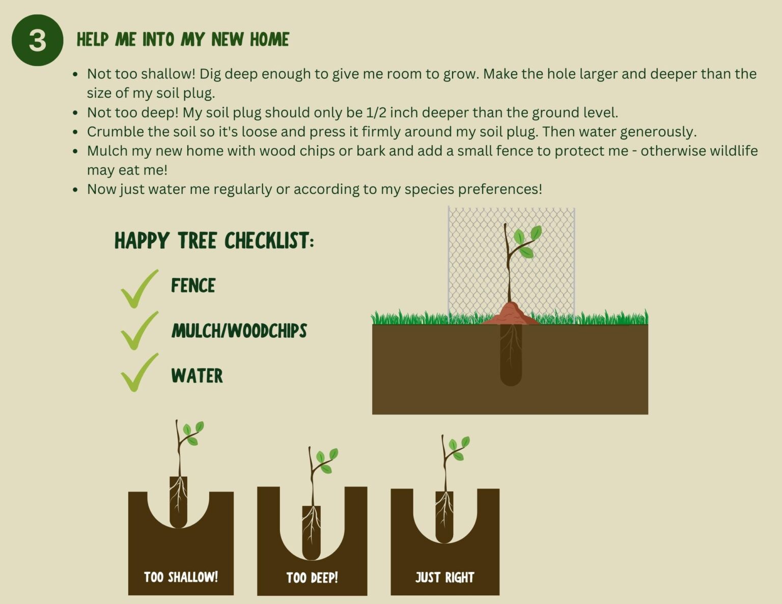 Tree Planting Instructions | Neighborhood Forest