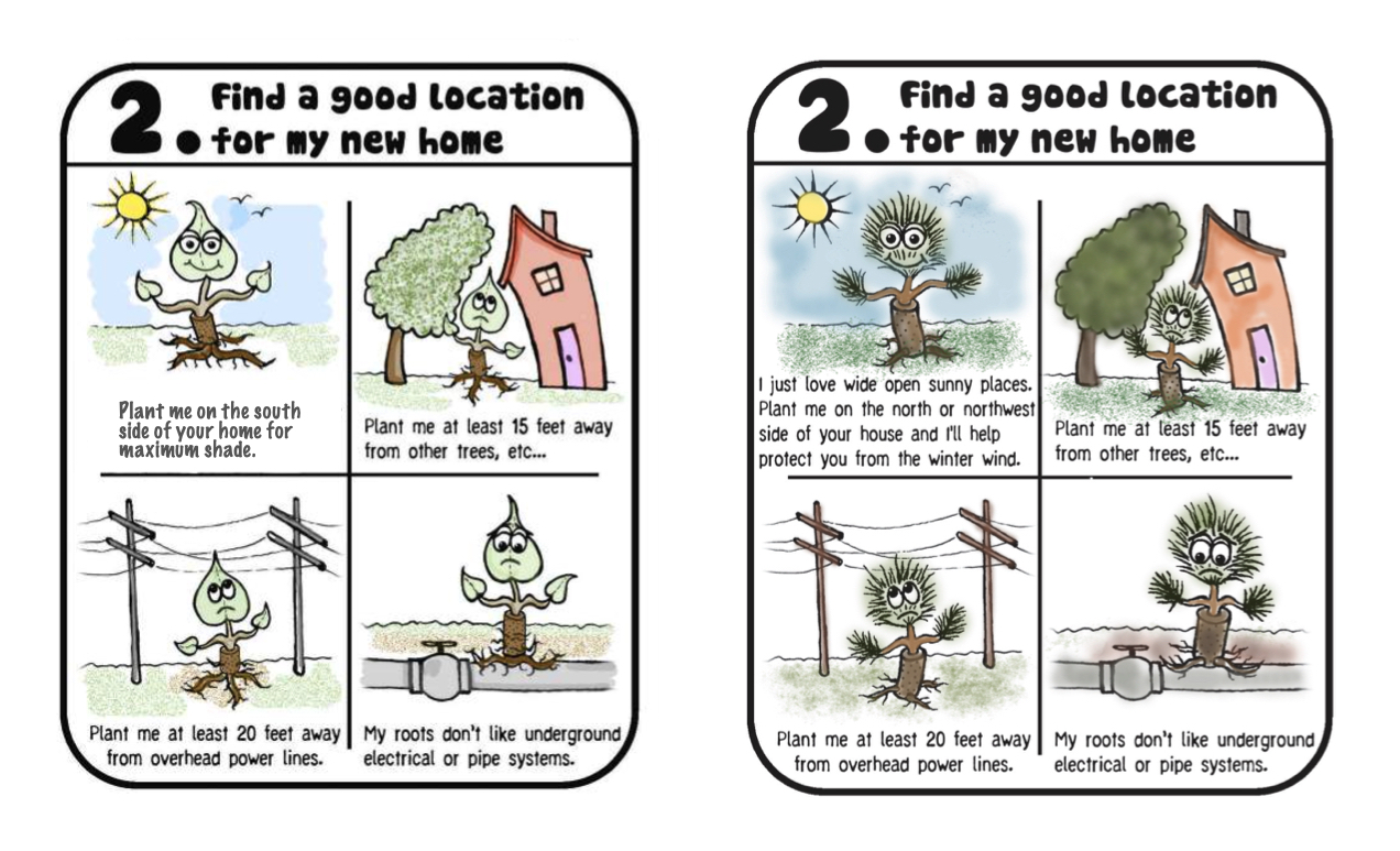 Tree Planting Instructions Neighborhood Forest