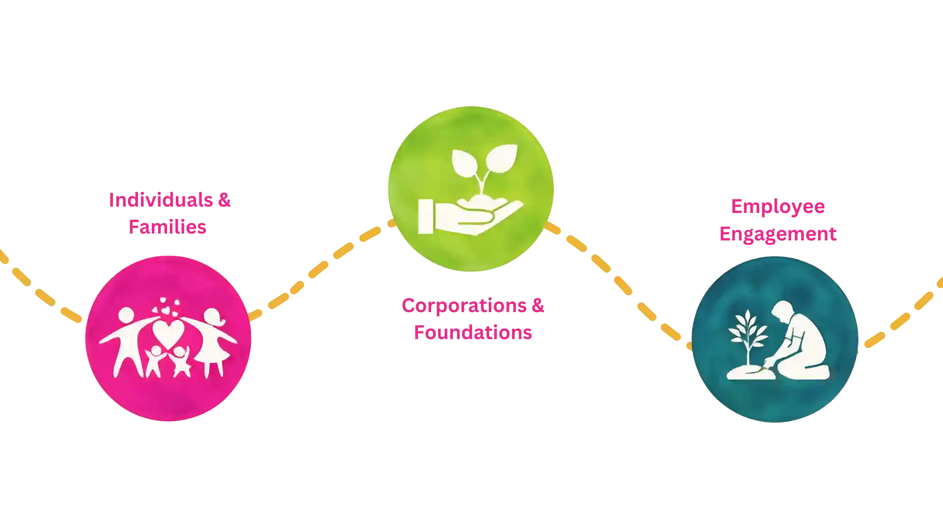 How we fund our program